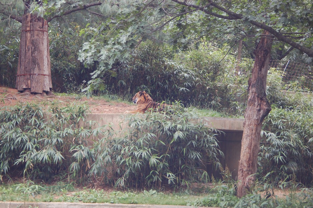 DSC_0027.JPG