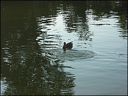 1DSCN0157.JPG