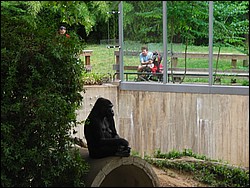 1DSCN0168.JPG