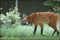 DSC_0008.JPG