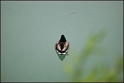 DSC_0010.JPG