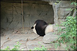 DSC_0011.JPG