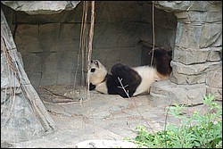 DSC_0013.JPG