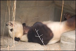 DSC_0015.JPG