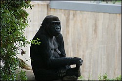 DSC_0019.JPG