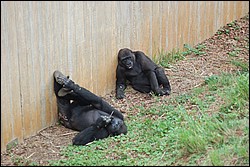 DSC_0024.JPG