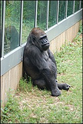 DSC_0025.JPG