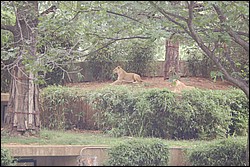 DSC_0030.JPG