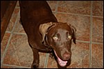 DSC_0006.JPG