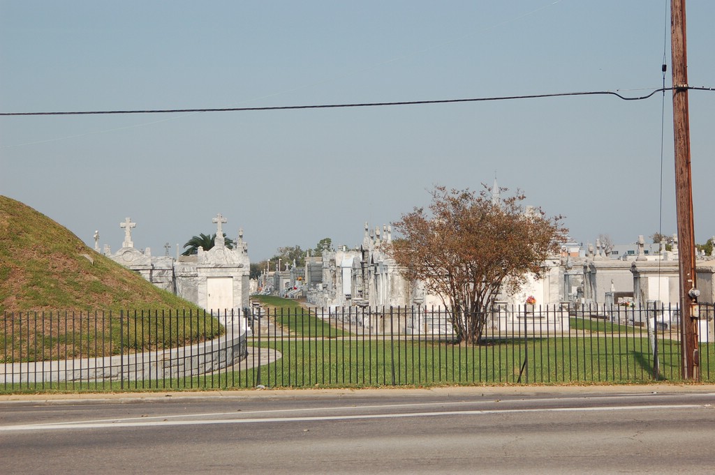DSC_0080.JPG