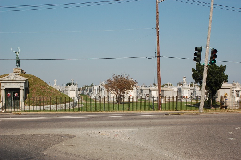 DSC_0081.JPG