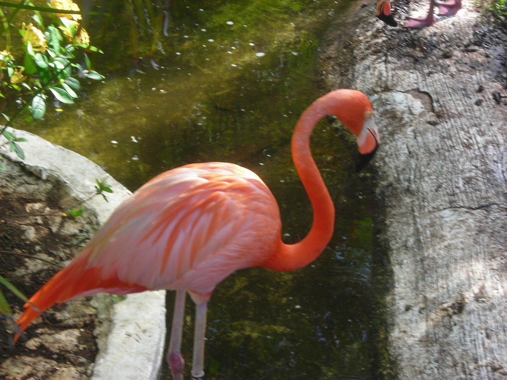 DSCN0408.JPG