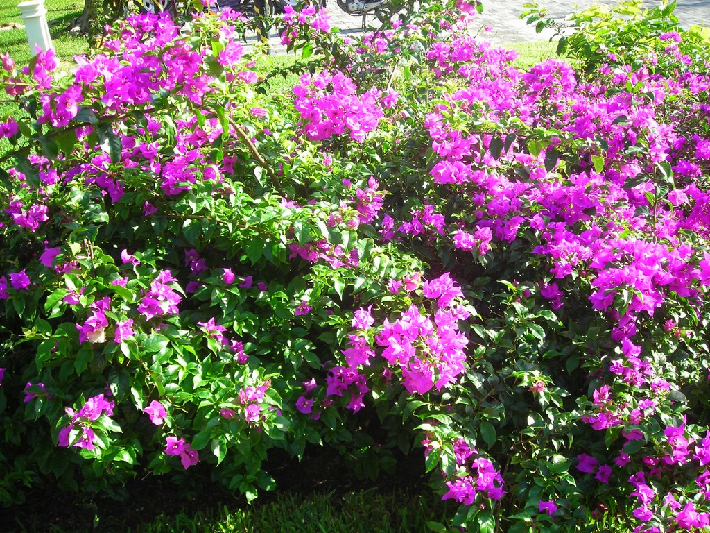 DSCN0412.JPG