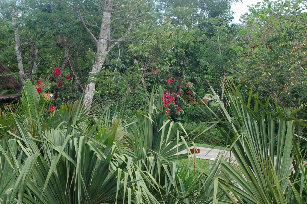 DSC_0015.JPG
