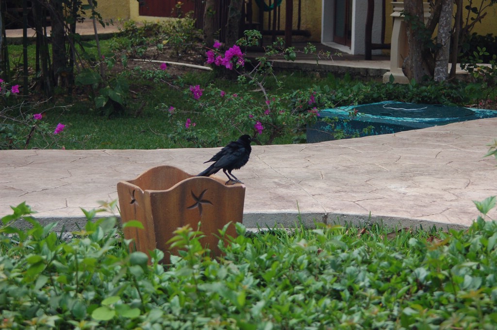DSC_0017.JPG