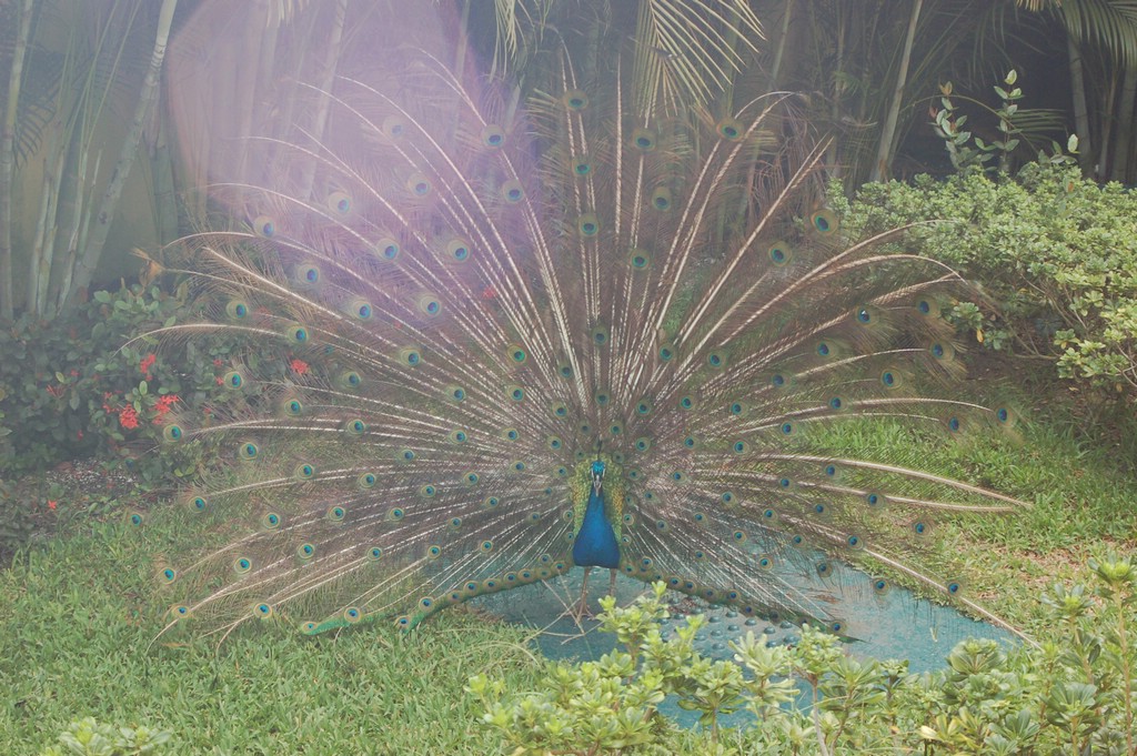 DSC_0063.JPG