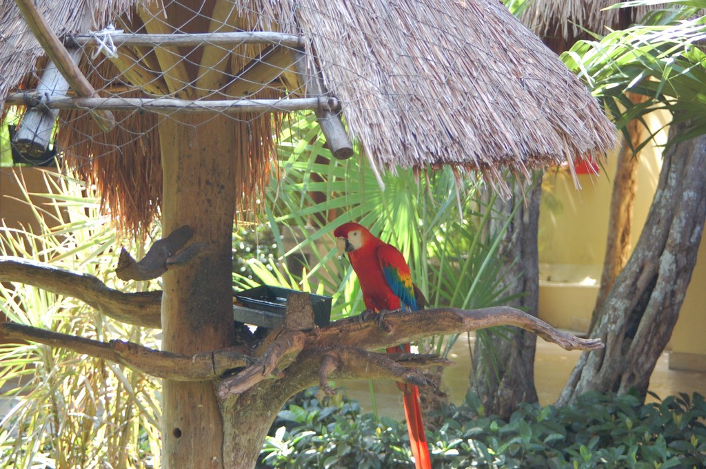 DSC_0091.JPG