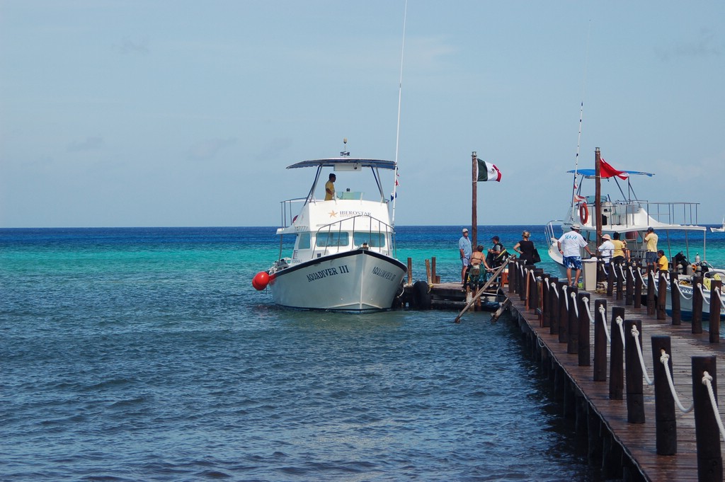 DSC_0113.JPG