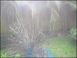DSCN0403.JPG