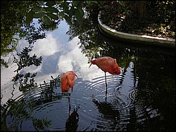 DSCN0407.JPG
