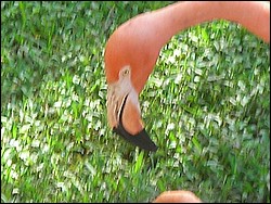 DSCN0409.JPG