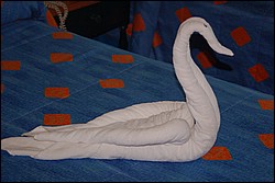 DSC_0002.JPG