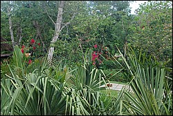 DSC_0015.JPG