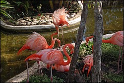 DSC_0069.JPG