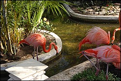 DSC_0070.JPG