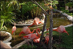 DSC_0071.JPG