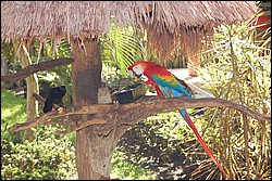 DSC_0087.JPG