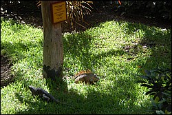 DSC_0089.JPG