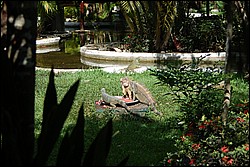 DSC_0092.JPG