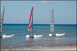 DSC_0109.JPG