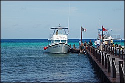 DSC_0113.JPG