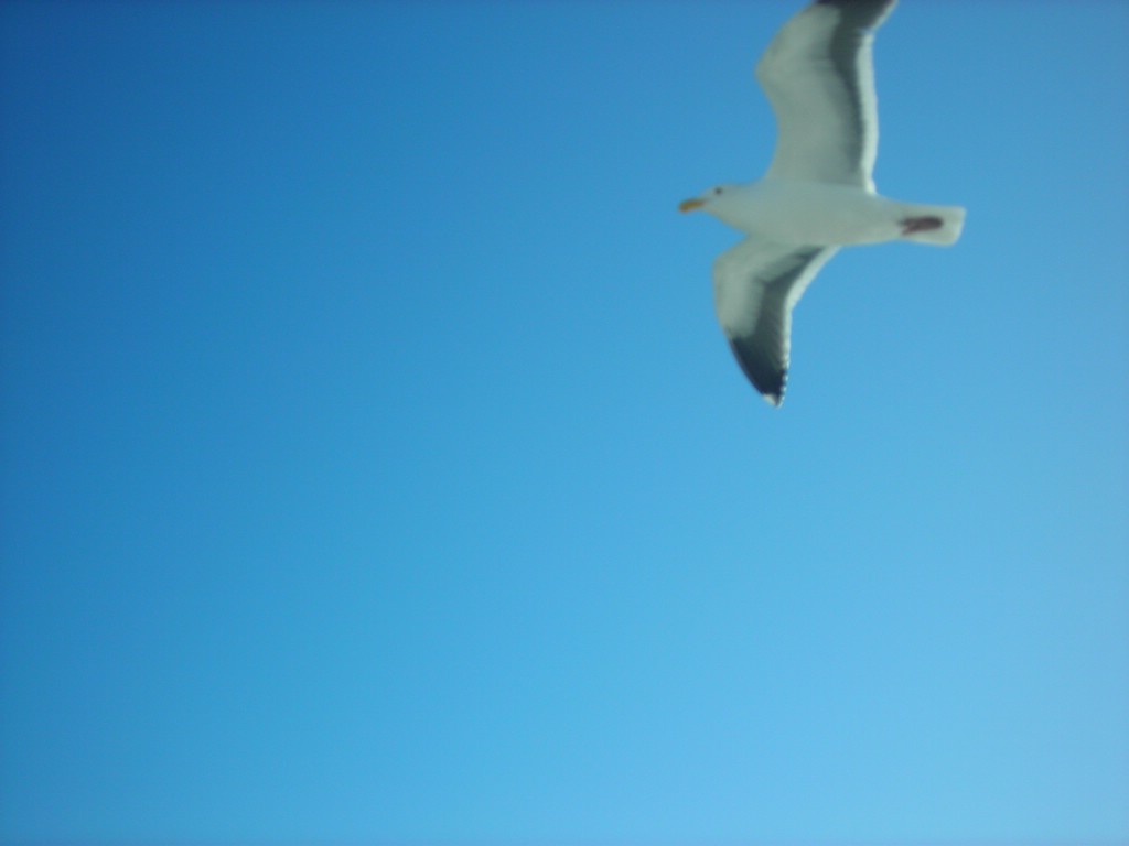 DSCN0422.JPG