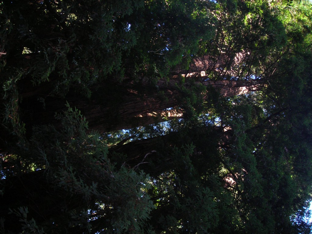 DSCN0455.JPG
