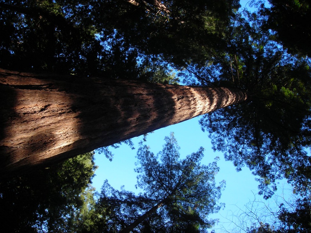 DSCN0460.JPG