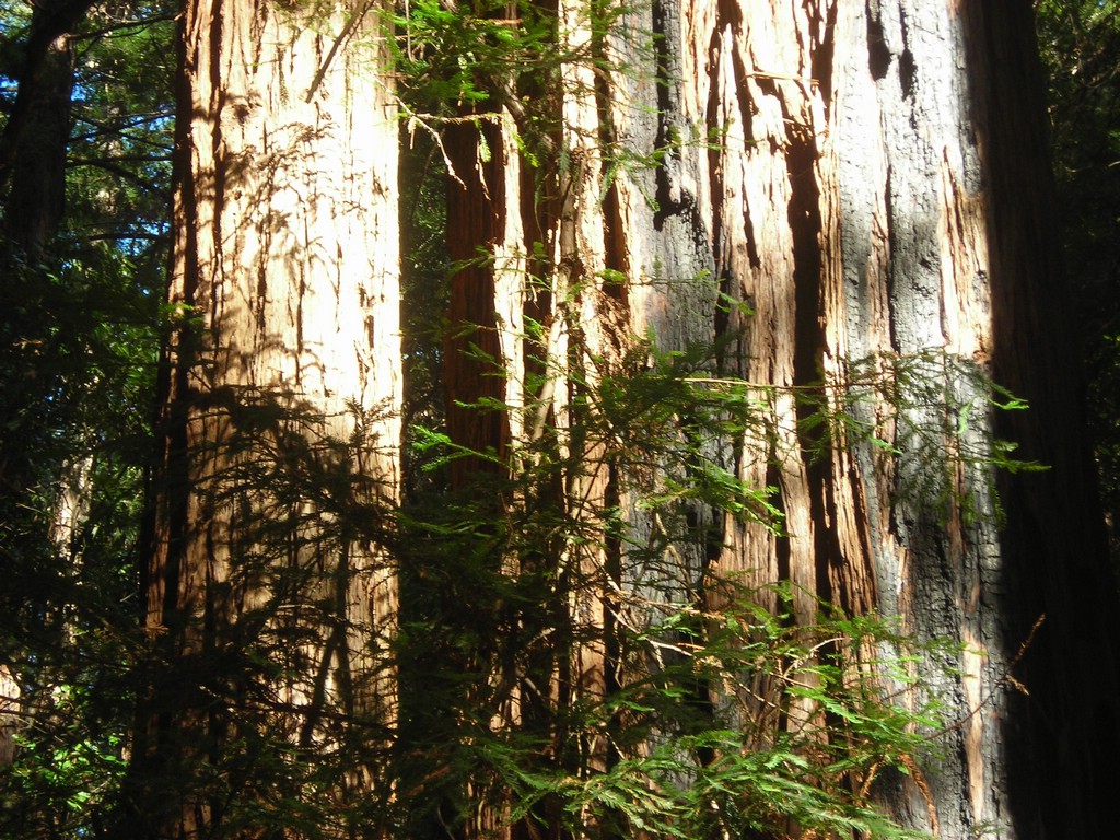 DSCN0463.JPG