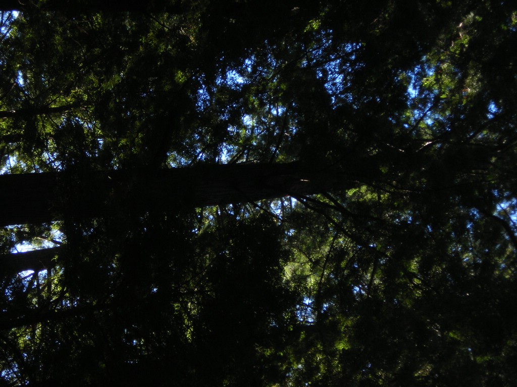 DSCN0465.JPG