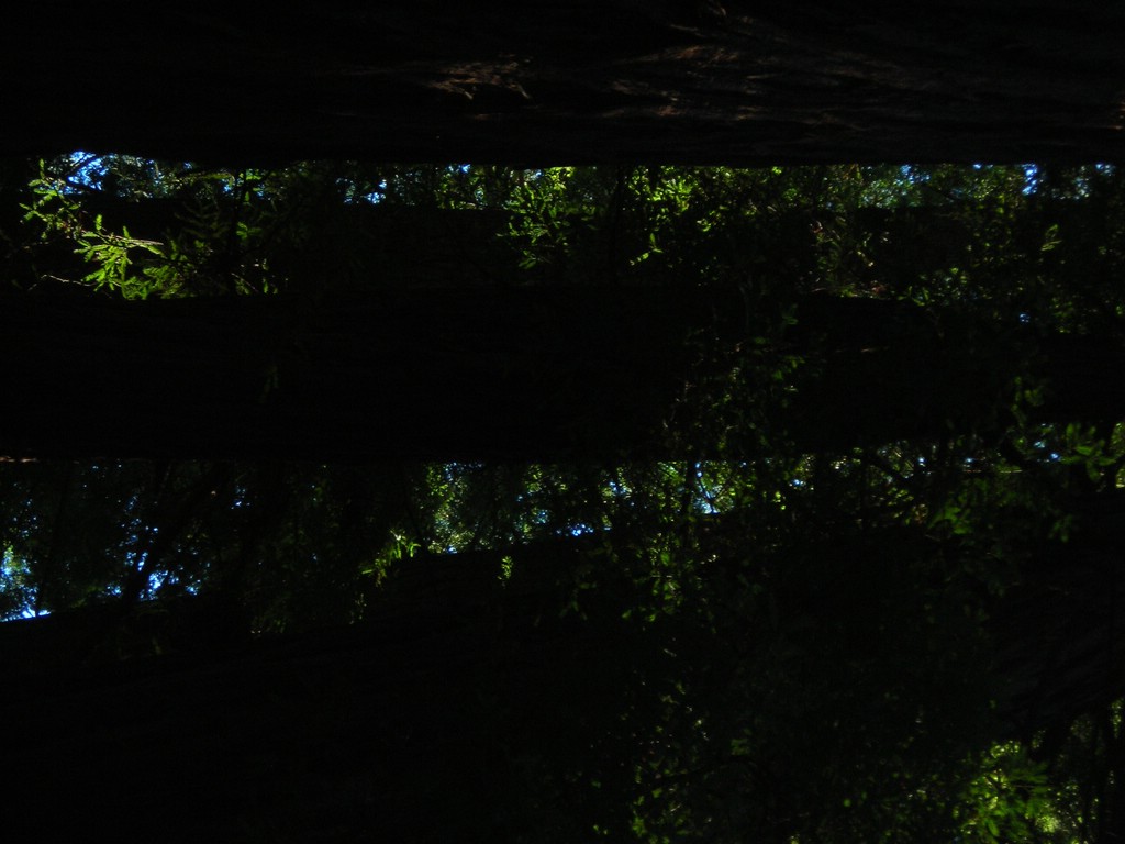 DSCN0467.JPG