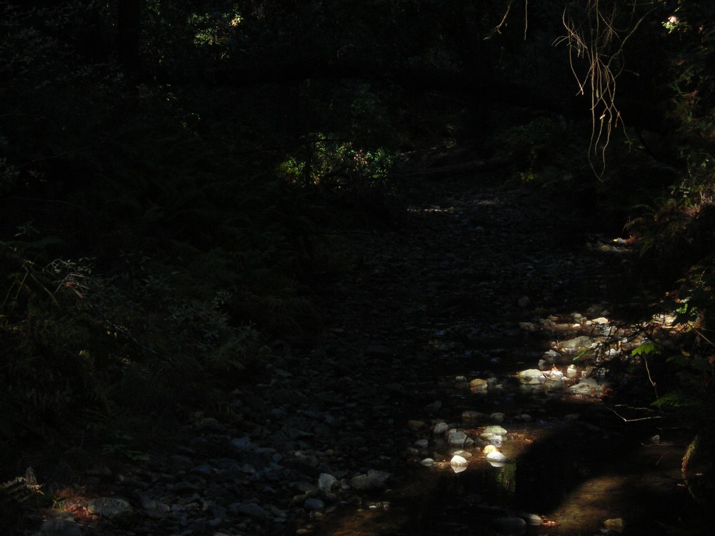 DSCN0468.JPG