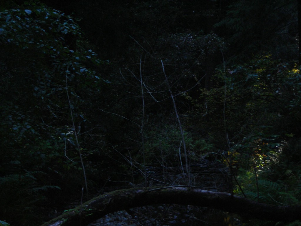 DSCN0470.JPG