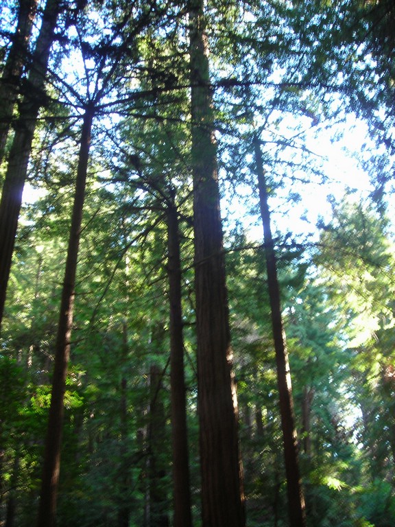 DSCN0483.JPG