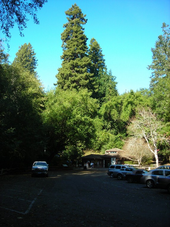 DSCN0486.JPG