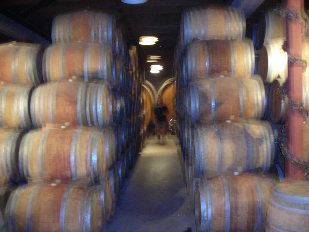 DSCN0496.JPG