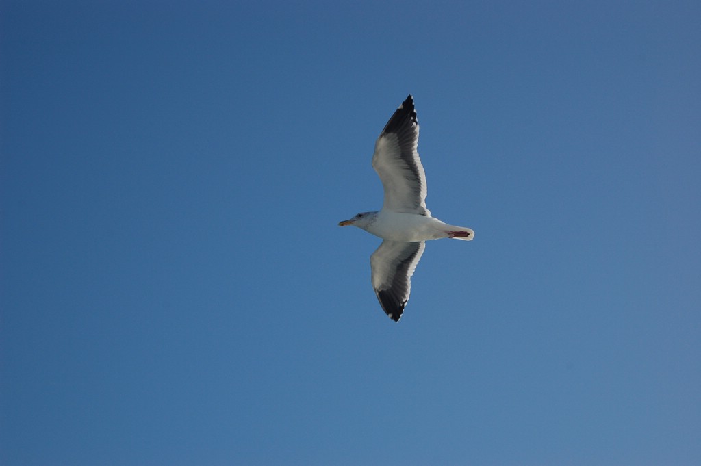 DSC_0012.JPG