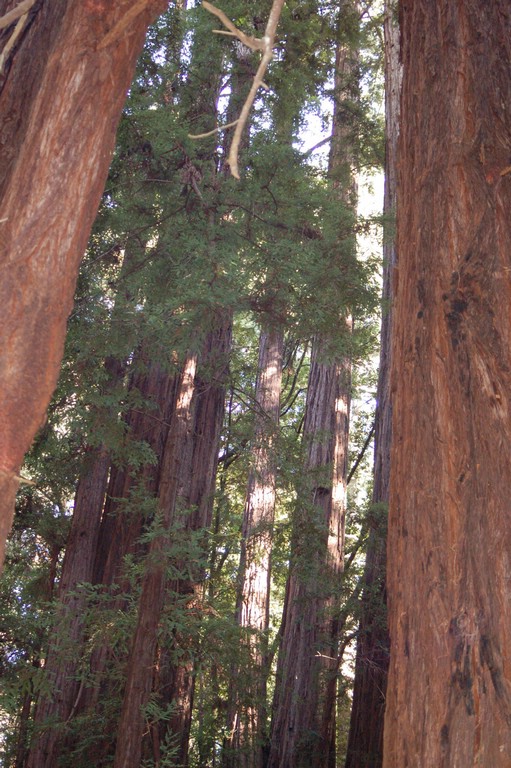 DSC_0094.JPG