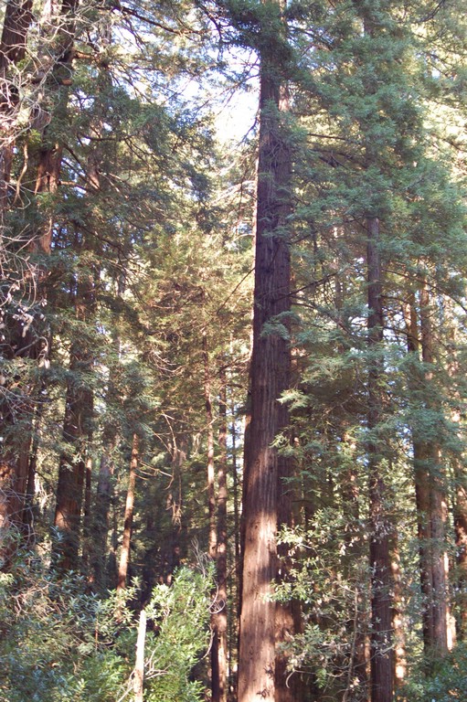 DSC_0125.JPG