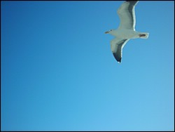 DSCN0422.JPG